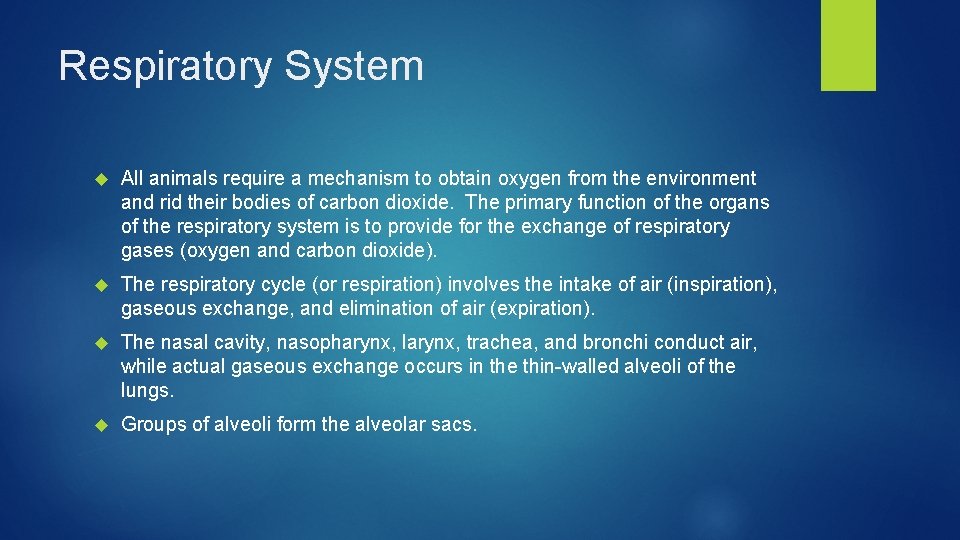 Respiratory System All animals require a mechanism to obtain oxygen from the environment and