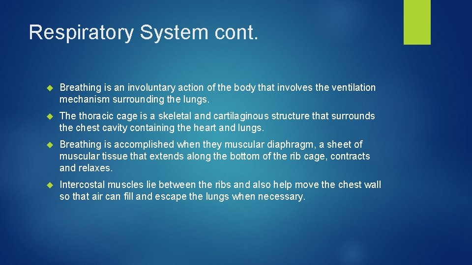 Respiratory System cont. Breathing is an involuntary action of the body that involves the