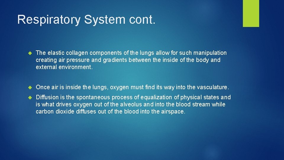 Respiratory System cont. The elastic collagen components of the lungs allow for such manipulation