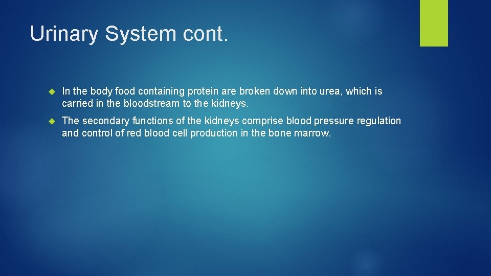 Urinary System cont. In the body food containing protein are broken down into urea,