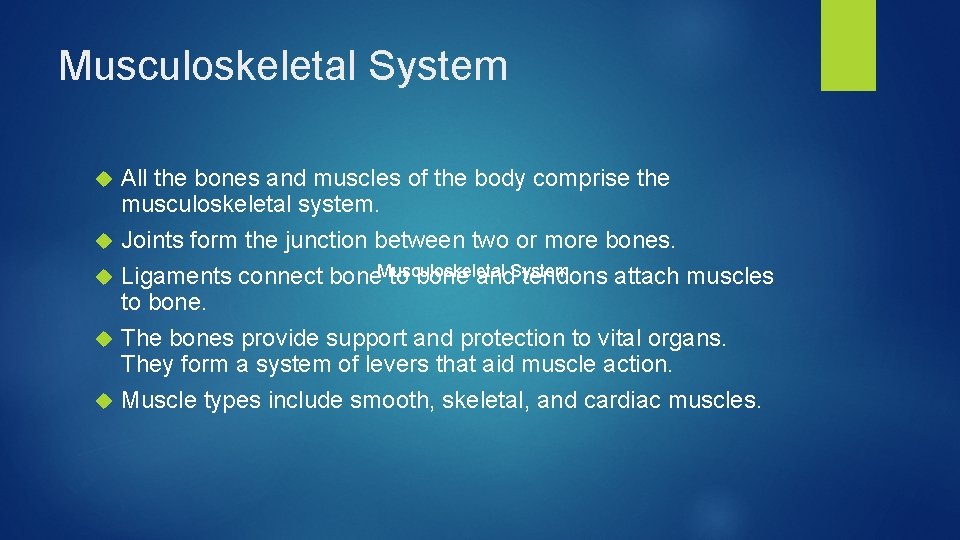 Musculoskeletal System All the bones and muscles of the body comprise the musculoskeletal system.