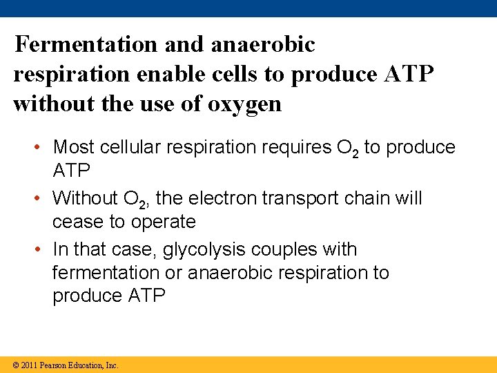 Fermentation and anaerobic respiration enable cells to produce ATP without the use of oxygen