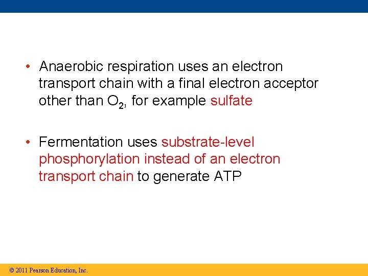  • Anaerobic respiration uses an electron transport chain with a final electron acceptor