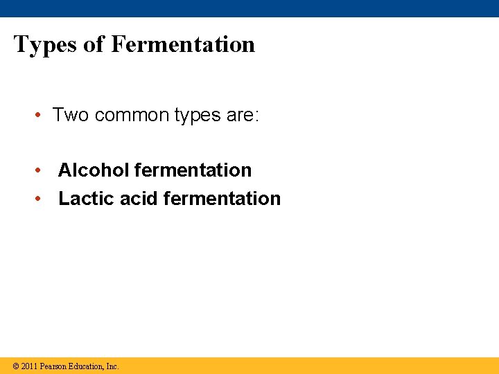Types of Fermentation • Two common types are: • Alcohol fermentation • Lactic acid