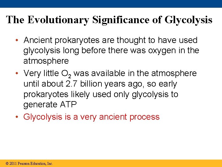The Evolutionary Significance of Glycolysis • Ancient prokaryotes are thought to have used glycolysis