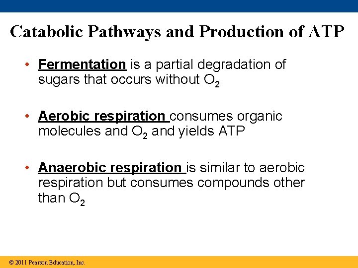Catabolic Pathways and Production of ATP • Fermentation is a partial degradation of sugars