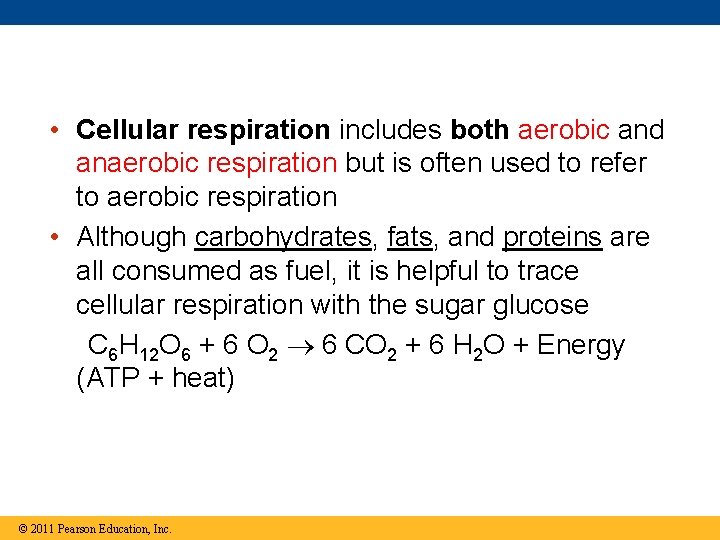  • Cellular respiration includes both aerobic and anaerobic respiration but is often used