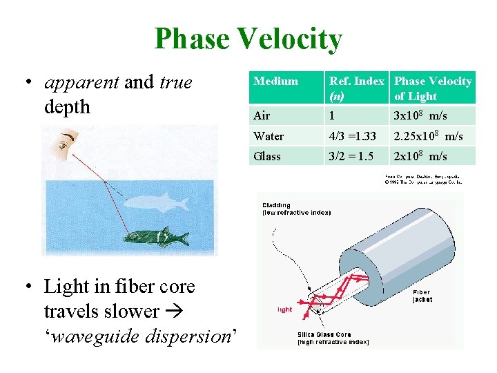 Phase Velocity • apparent and true depth • Light in fiber core travels slower