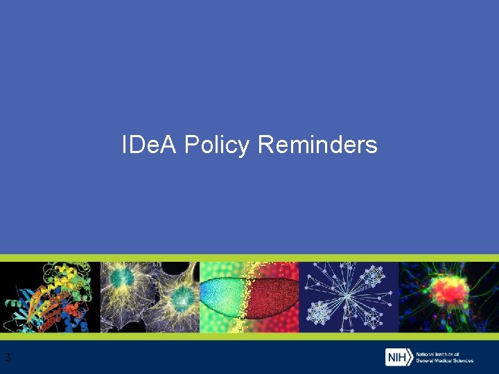 IDe. A Policy Reminders 3 