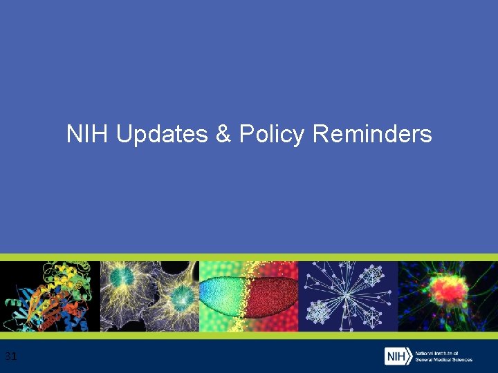 NIH Updates & Policy Reminders 31 