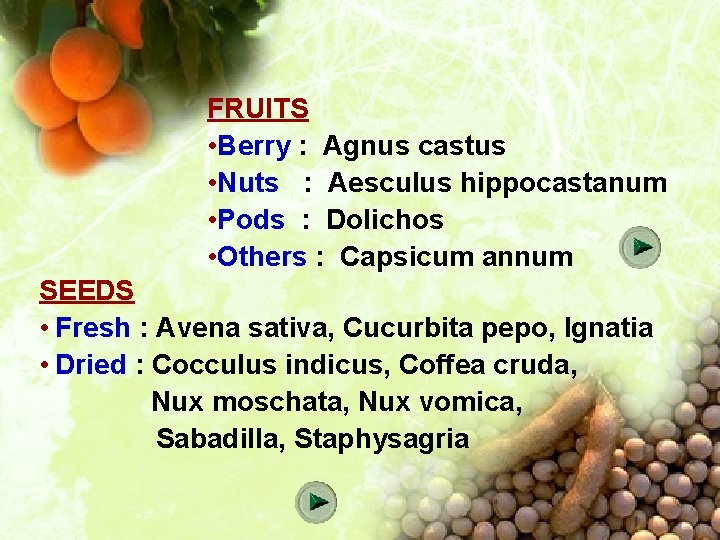 FRUITS • Berry : Agnus castus • Nuts : Aesculus hippocastanum • Pods :