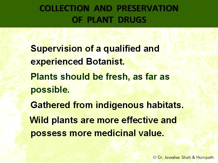 COLLECTION AND PRESERVATION OF PLANT DRUGS • Supervision of a qualified and experienced Botanist.