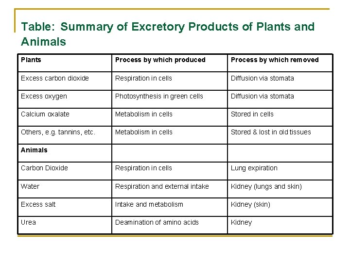 Excretion Page 127 Syllabus Objectives N Discuss The