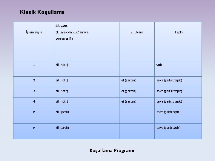 Klasik Koşullama 1. Uyarıcı İşlem sayısı (1. uyarcıdan 1/2 saniye 2. Uyarıcı Tepki sonra