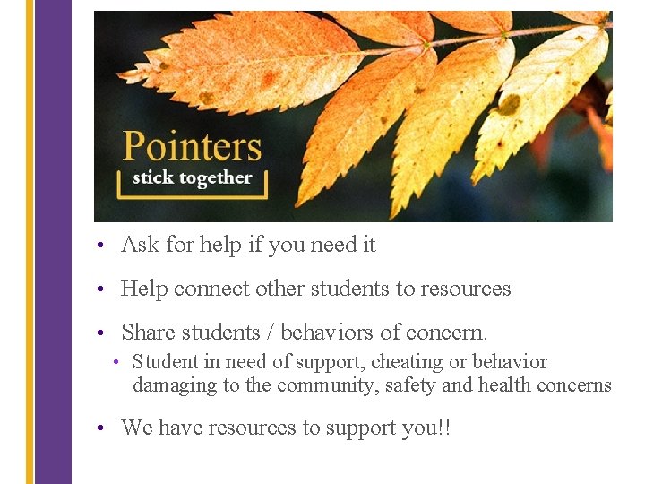  • Ask for help if you need it • Help connect other students