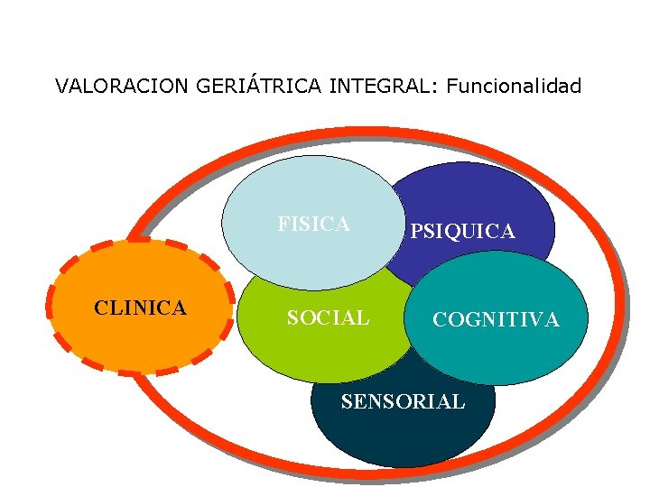 VALORACION GERIÁTRICA INTEGRAL: Funcionalidad FISICA CLINICA SOCIAL PSIQUICA COGNITIVA SENSORIAL 