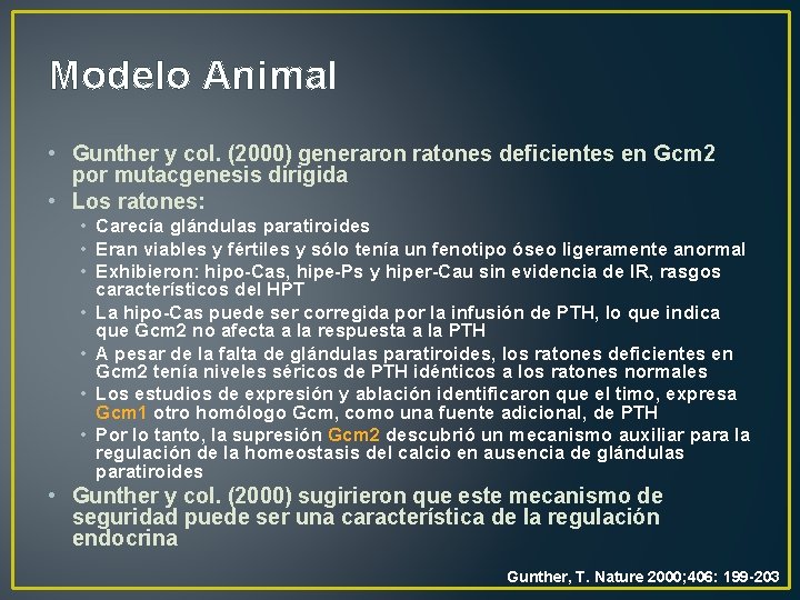 Modelo Animal • Gunther y col. (2000) generaron ratones deficientes en Gcm 2 por