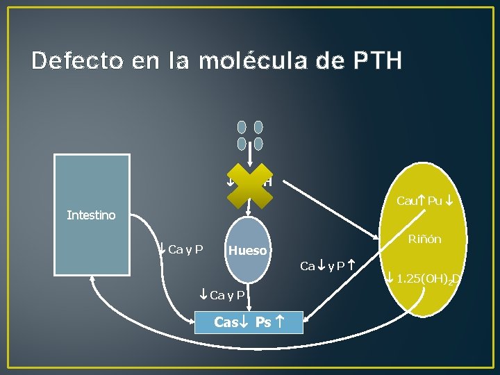 Defecto en la molécula de PTH Cau Pu Intestino Ca y P Riñón Hueso