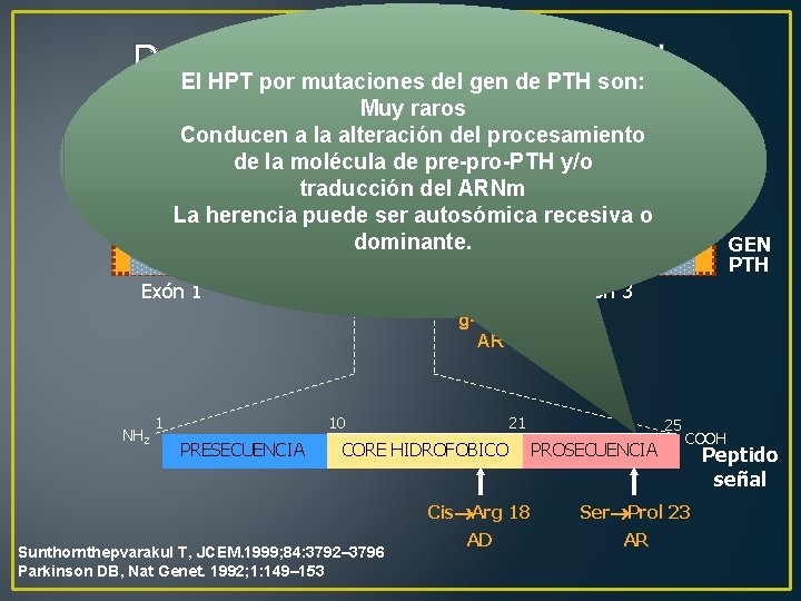 Defecto en la molécula de PTH El HPT por mutaciones del gen de PTH