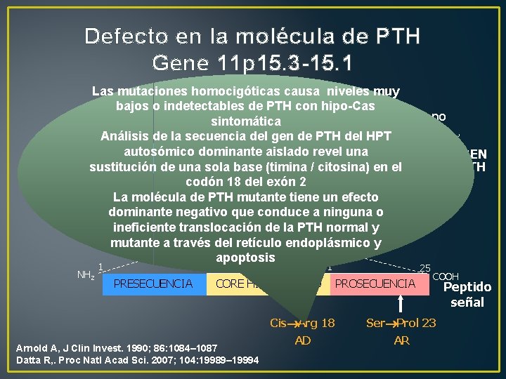 Defecto en la molécula de PTH Gene 11 p 15. 3 -15. 1 Las