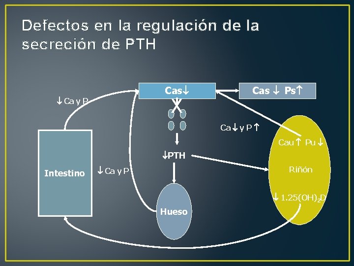 Defectos en la regulación de la secreción de PTH Cas X Ca y P