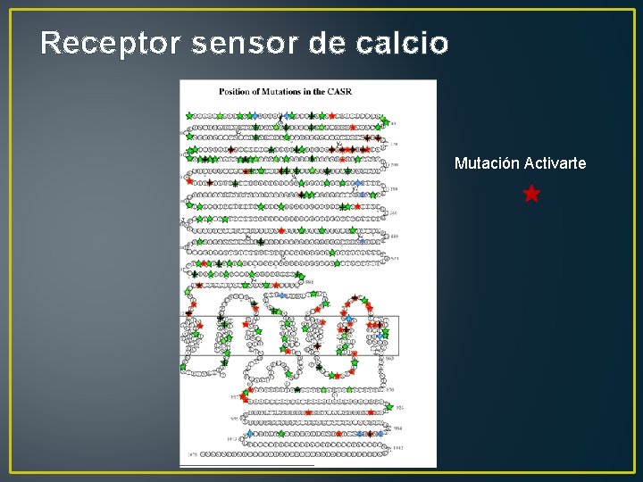 Receptor sensor de calcio Mutación Activarte 