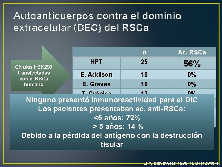 Autoanticuerpos contra el dominio extracelular (DEC) del RSCa Células HEK 293 transfectadas con el