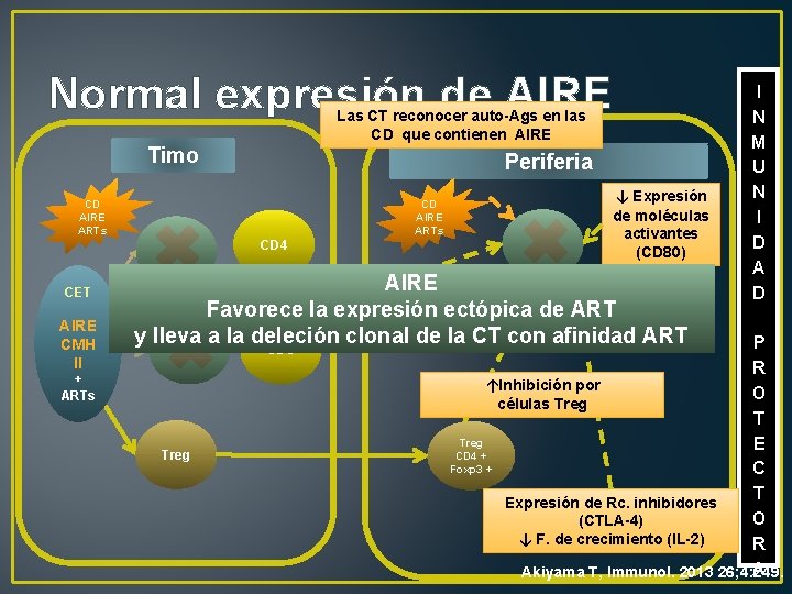 Normal expresión de AIRE CD AIRE ARTs CET AIRE CMH II + ARTs I