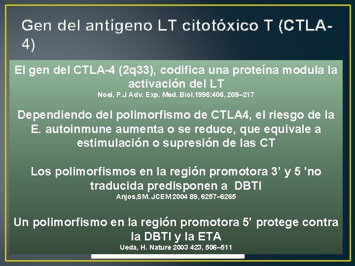 Gen del antígeno LT citotóxico T (CTLA 4) El gen del CTLA-4 (2 q
