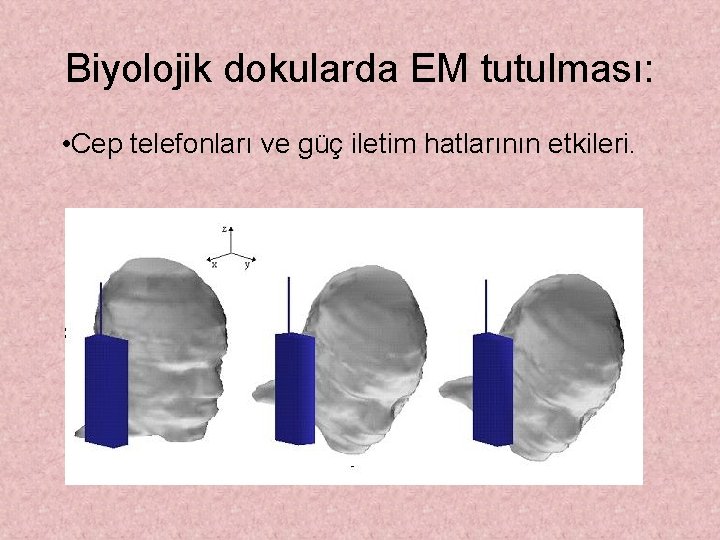 Biyolojik dokularda EM tutulması: • Cep telefonları ve güç iletim hatlarının etkileri. 