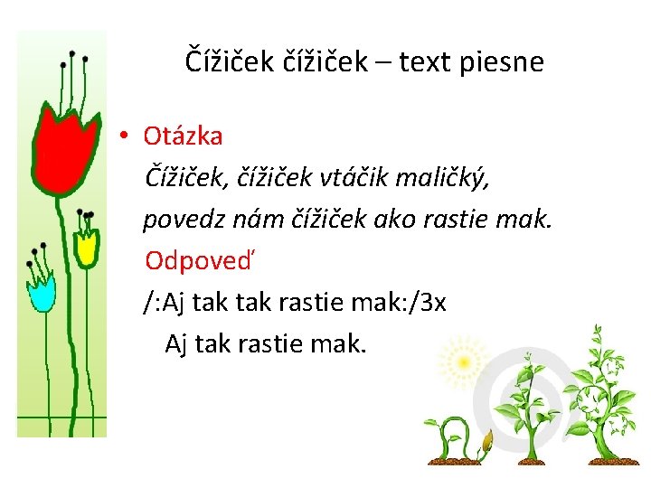 Čížiček čížiček – text piesne • Otázka Čížiček, čížiček vtáčik maličký, povedz nám čížiček