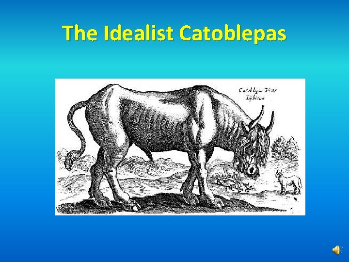 The Idealist Catoblepas 