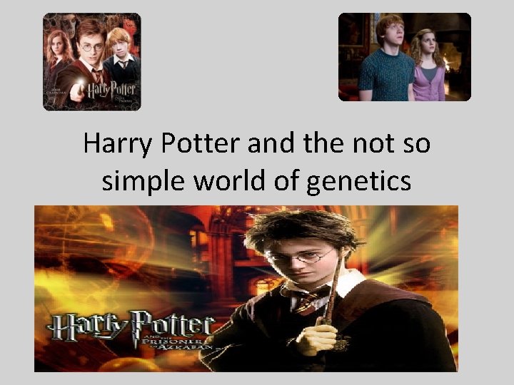 Harry Potter and the not so simple world of genetics 