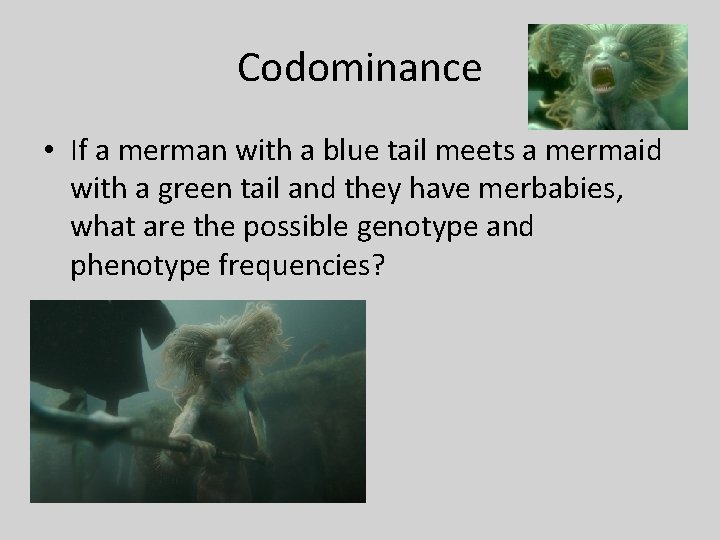 Codominance • If a merman with a blue tail meets a mermaid with a