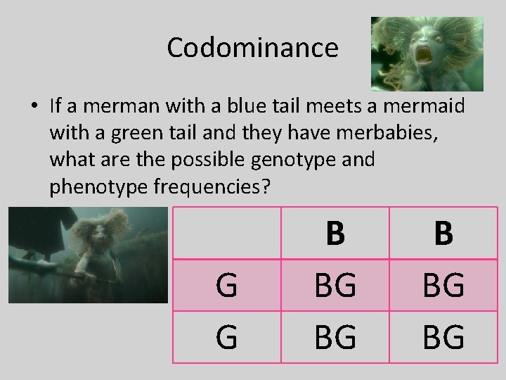 Codominance • If a merman with a blue tail meets a mermaid with a