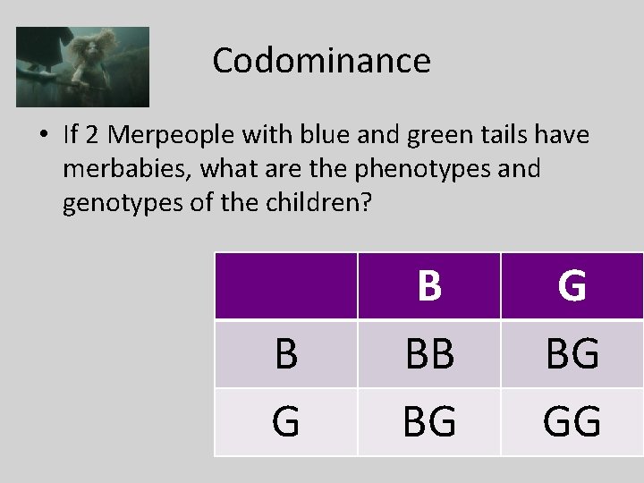 Codominance • If 2 Merpeople with blue and green tails have merbabies, what are