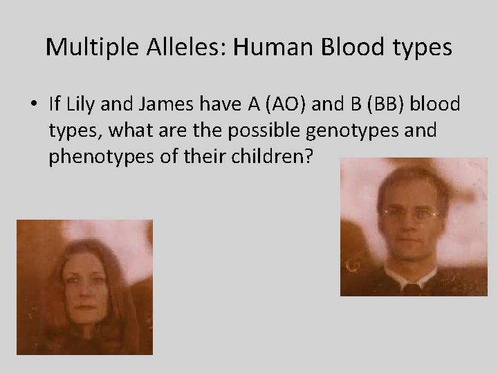 Multiple Alleles: Human Blood types • If Lily and James have A (AO) and