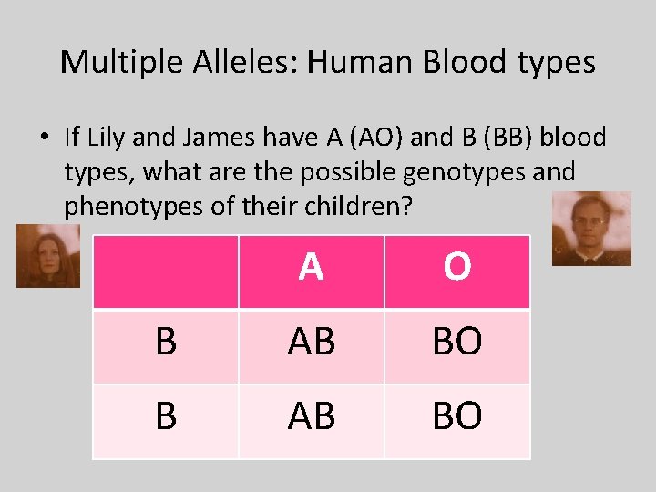 Multiple Alleles: Human Blood types • If Lily and James have A (AO) and