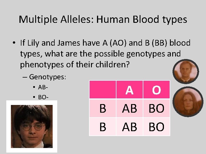 Multiple Alleles: Human Blood types • If Lily and James have A (AO) and