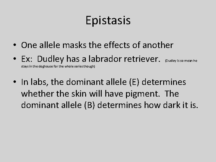 Epistasis • One allele masks the effects of another • Ex: Dudley has a