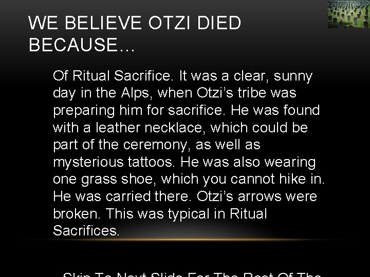 WE BELIEVE OTZI DIED BECAUSE… Of Ritual Sacrifice. It was a clear, sunny day