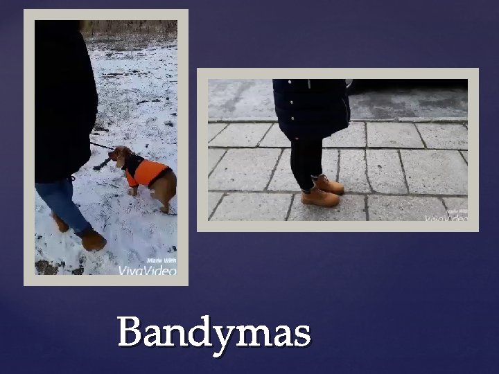 Bandymas 