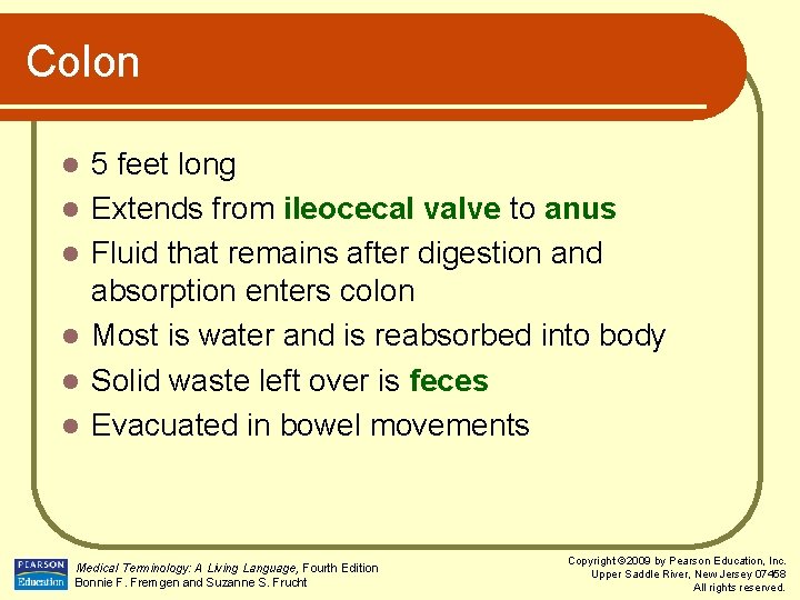 Colon l l l 5 feet long Extends from ileocecal valve to anus Fluid
