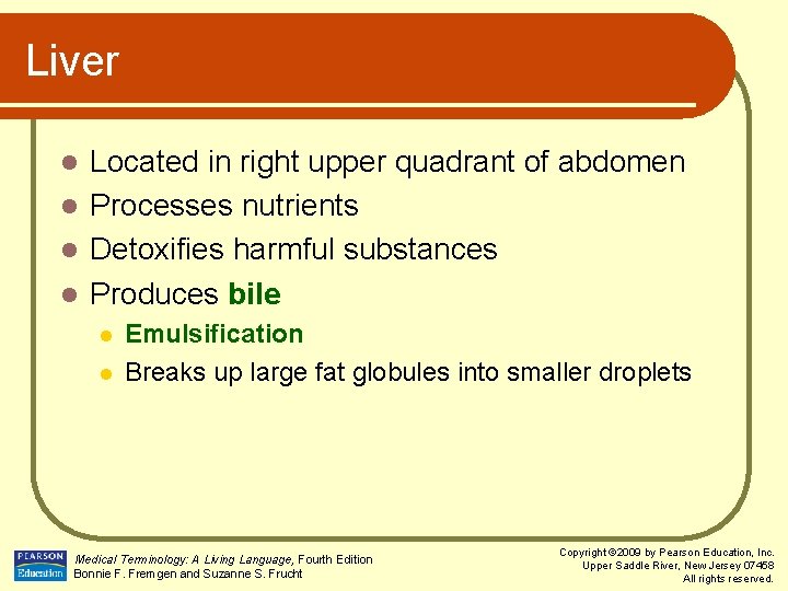 Liver Located in right upper quadrant of abdomen l Processes nutrients l Detoxifies harmful