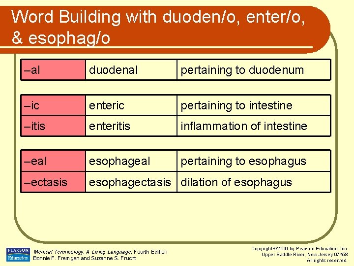 Word Building with duoden/o, enter/o, & esophag/o –al duodenal pertaining to duodenum –ic enteric