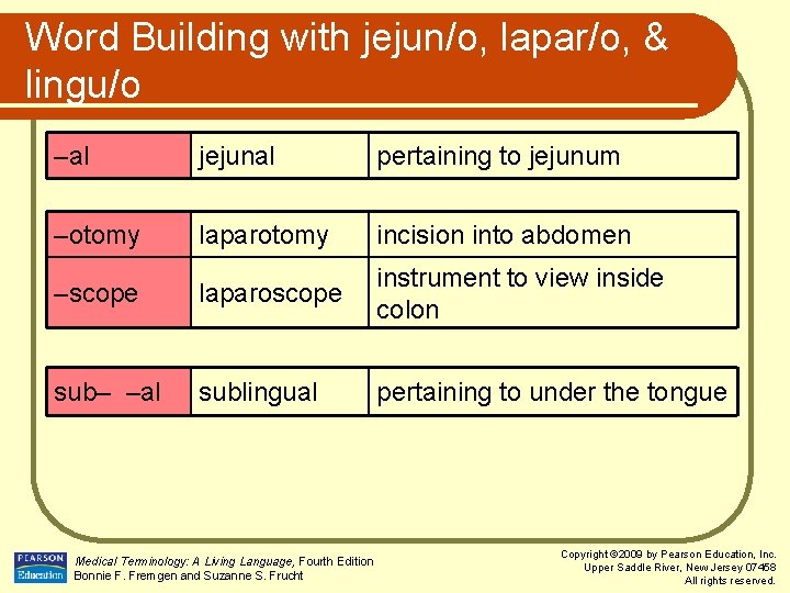 Word Building with jejun/o, lapar/o, & lingu/o –al jejunal pertaining to jejunum –otomy laparotomy