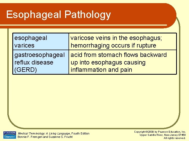 Esophageal Pathology esophageal varices varicose veins in the esophagus; hemorrhaging occurs if rupture gastroesophageal