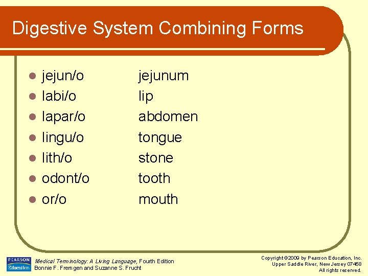 Digestive System Combining Forms l l l l jejun/o labi/o lapar/o lingu/o lith/o odont/o