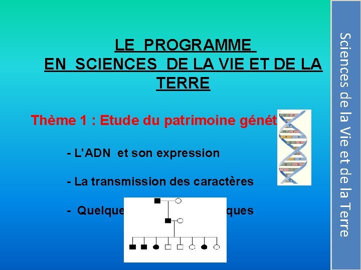 Thème 1 : Etude du patrimoine génétique - L’ADN et son expression - La