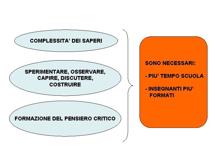 COMPLESSITA’ DEI SAPERI SONO NECESSARI: SPERIMENTARE, OSSERVARE, CAPIRE, DISCUTERE, COSTRUIRE FORMAZIONE DEL PENSIERO CRITICO